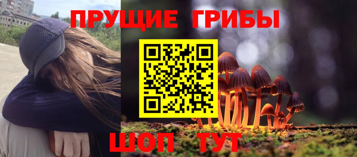 Галлюциногенные грибы Cubensis  закладка  Моздок  Вход с VPN  Галлюциногенные грибы ЛСД 